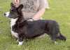 2003gwenni_WEB_thumb