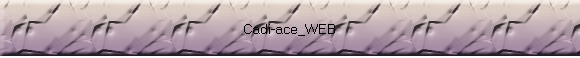 Cadi-ace_WEB