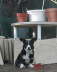 030203gwenni_WEB
