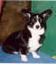 070303gwenni_WEB