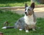 120506garden-4_WEB