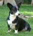 120506garden-5_WEB