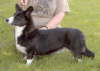 2003gwenni_WEB