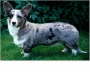 Morgan-1_WEB